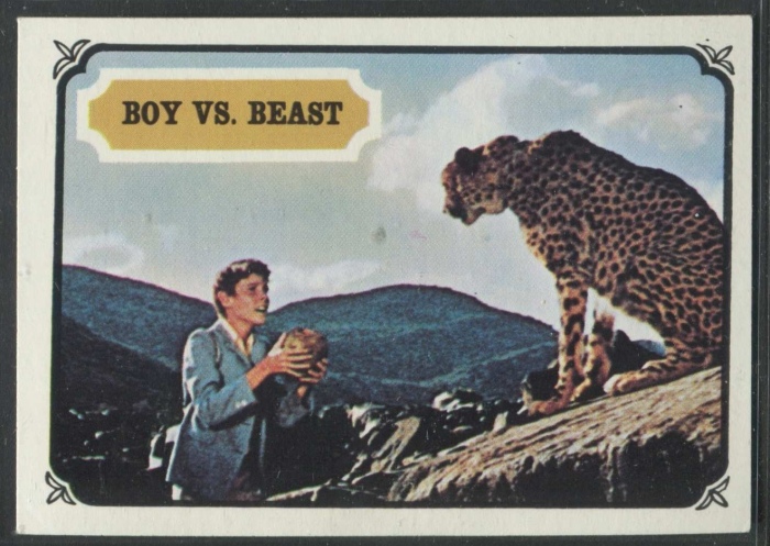 12 Boy Vs. Beast